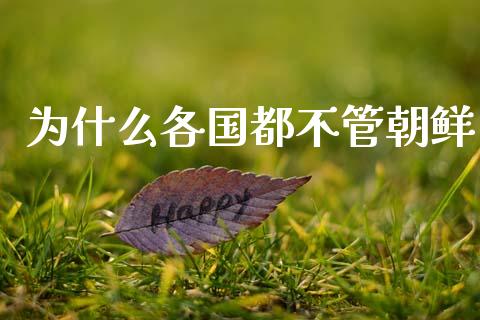 为什么各国都不管朝鲜_https://cj006.lansai.wang_期货开户_第1张