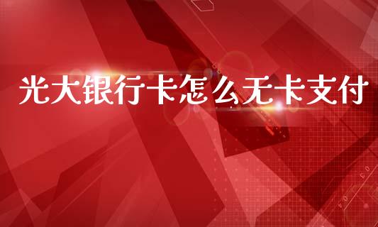 光大银行卡怎么无卡支付_https://cj006.lansai.wang_全球市场_第1张