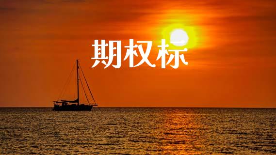期权标_https://cj006.lansai.wang_期货开户_第1张