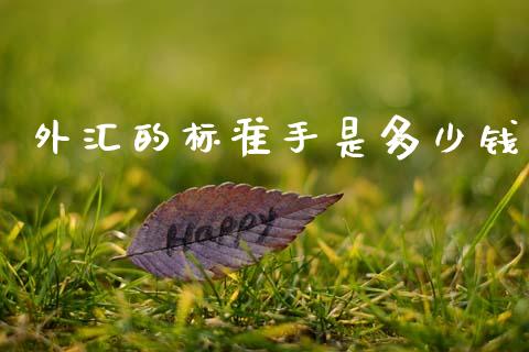 外汇的标准手是多少钱_https://cj006.lansai.wang_期货开户_第1张