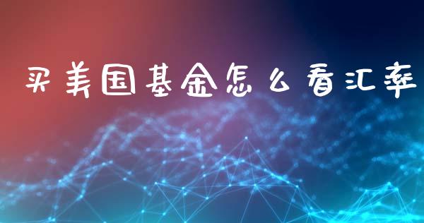 买美国基金怎么看汇率_https://cj006.lansai.wang_债券资讯_第1张