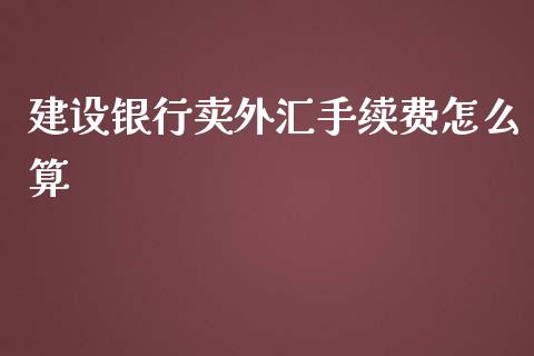 建设银行卖外汇手续费怎么算_https://cj006.lansai.wang_期货开户_第1张