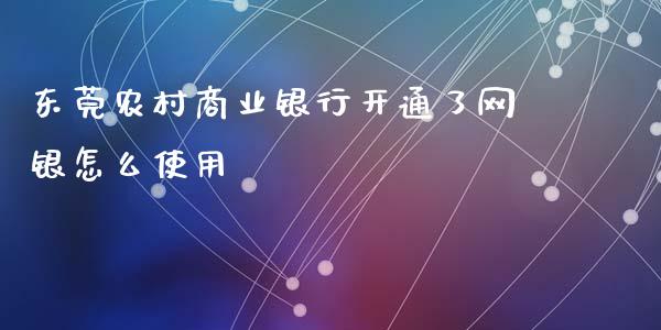 东莞农村商业银行开通了网银怎么使用_https://cj006.lansai.wang_外汇交易_第1张