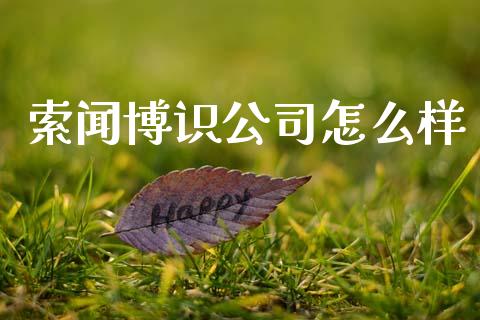 索闻博识公司怎么样_https://cj006.lansai.wang_债券资讯_第1张