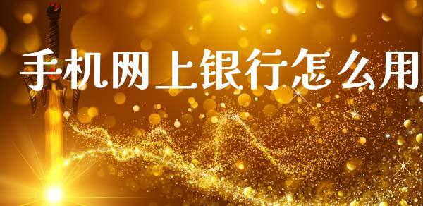 手机网上银行怎么用_https://cj006.lansai.wang_全球市场_第1张
