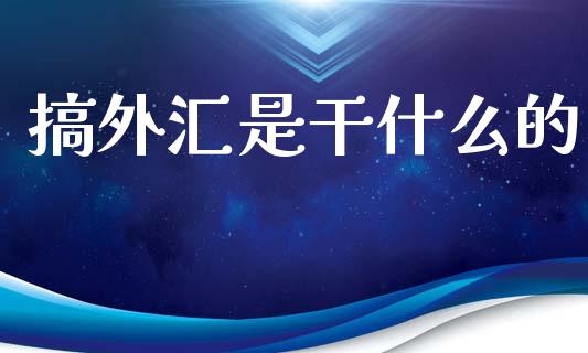搞外汇是干什么的_https://cj006.lansai.wang_财经新闻_第1张