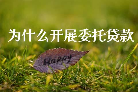 为什么开展委托贷款_https://cj006.lansai.wang_期货开户_第1张