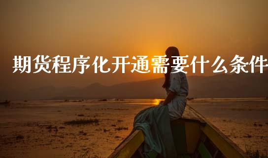 期货程序化开通需要什么条件_https://cj006.lansai.wang_金融监管_第1张