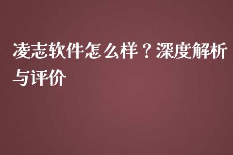 凌志软件怎么样？深度解析与评价_https://cj006.lansai.wang_债券资讯_第1张