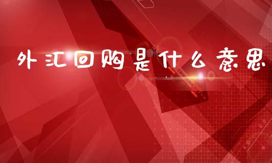 外汇回购是什么意思_https://cj006.lansai.wang_期货开户_第1张