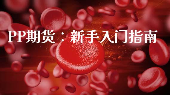 PP期货：新手入门指南_https://cj006.lansai.wang_外汇交易_第1张