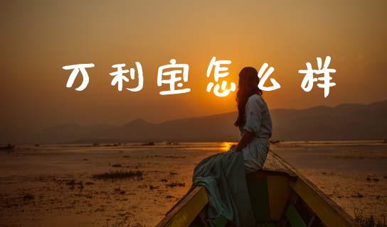 万利宝怎么样_https://cj006.lansai.wang_全球市场_第1张
