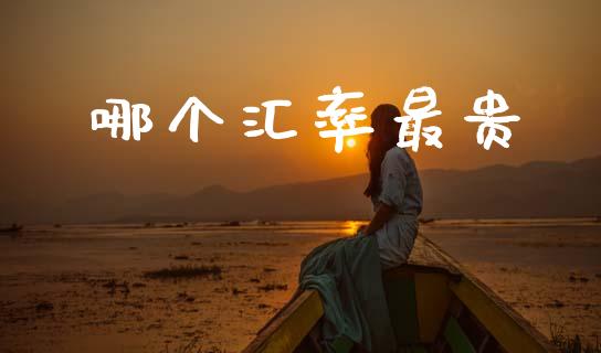 哪个汇率最贵_https://cj006.lansai.wang_外汇交易_第1张