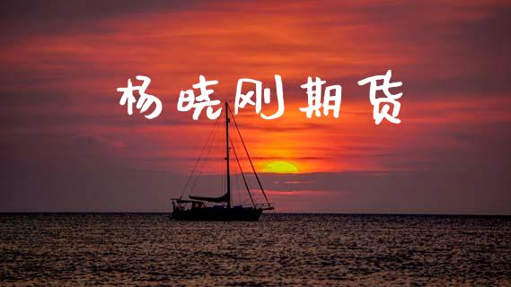 杨晓刚期货_https://cj006.lansai.wang_财经新闻_第1张