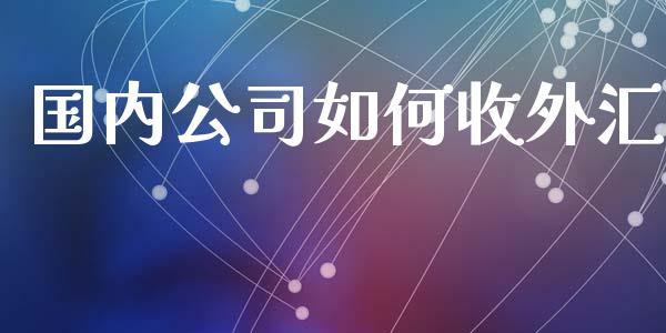 国内公司如何收外汇_https://cj006.lansai.wang_外汇交易_第1张
