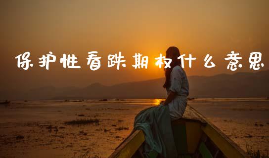 保护性看跌期权什么意思_https://cj006.lansai.wang_全球市场_第1张