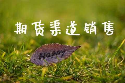 期货渠道销售_https://cj006.lansai.wang_金融监管_第1张