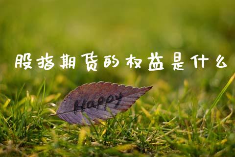 股指期货的权益是什么_https://cj006.lansai.wang_全球市场_第1张