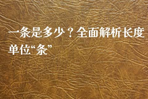 一条是多少？全面解析长度单位“条”_https://cj006.lansai.wang_金融监管_第1张