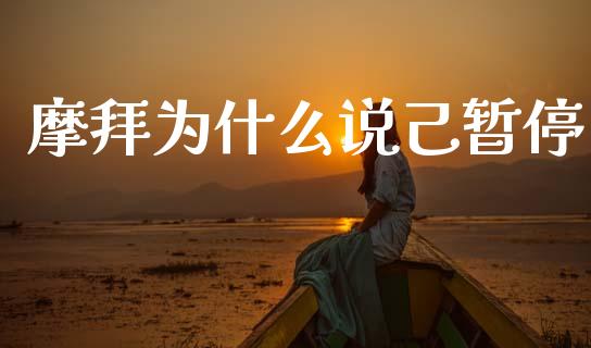 摩拜为什么说己暂停_https://cj006.lansai.wang_外汇交易_第1张