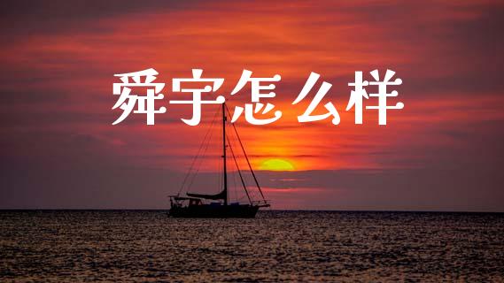 舜宇怎么样_https://cj006.lansai.wang_全球市场_第1张