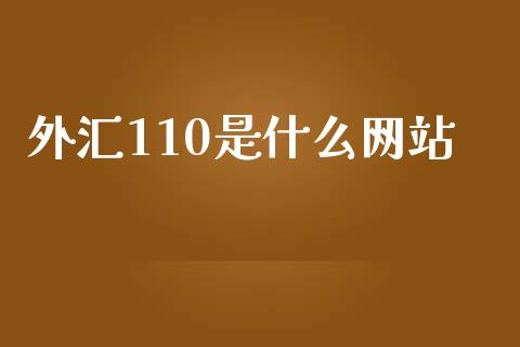 外汇110是什么网站_https://cj006.lansai.wang_期货开户_第1张