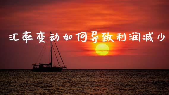 汇率变动如何导致利润减少_https://cj006.lansai.wang_外汇交易_第1张