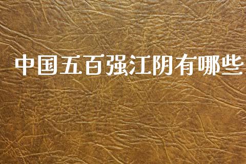中国五百强江阴有哪些_https://cj006.lansai.wang_外汇交易_第1张
