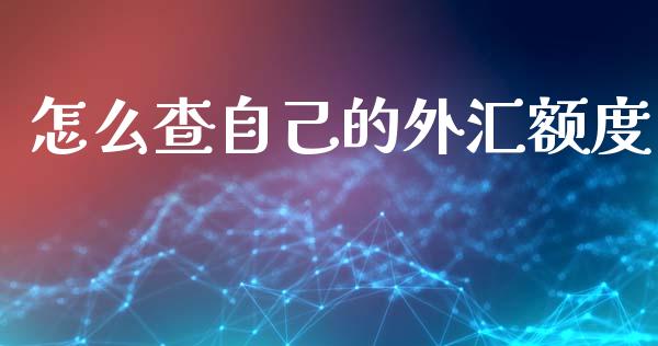 怎么查自己的外汇额度_https://cj006.lansai.wang_期货开户_第1张