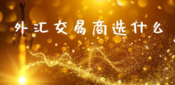 外汇交易商选什么_https://cj006.lansai.wang_金融监管_第1张