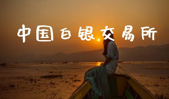 中国白银交易所_https://cj006.lansai.wang_金融监管_第1张