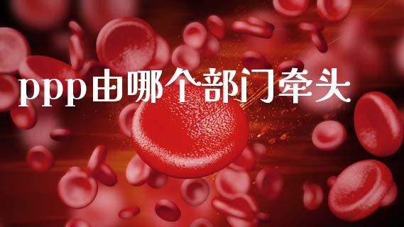 ppp由哪个部门牵头_https://cj006.lansai.wang_债券资讯_第1张