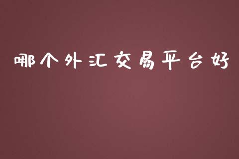 哪个外汇交易平台好_https://cj006.lansai.wang_期货开户_第1张