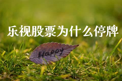 乐视股票为什么停牌_https://cj006.lansai.wang_金融监管_第1张