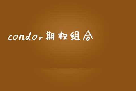 condor期权组合_https://cj006.lansai.wang_债券资讯_第1张