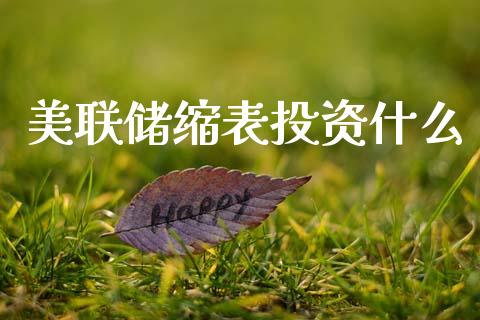 美联储缩表投资什么_https://cj006.lansai.wang_外汇交易_第1张