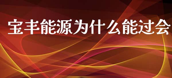 宝丰能源为什么能过会_https://cj006.lansai.wang_财经新闻_第1张