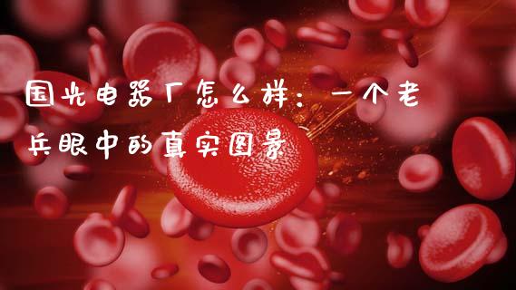 国光电器厂怎么样：一个老兵眼中的真实图景_https://cj006.lansai.wang_财经新闻_第1张