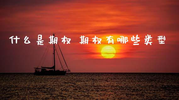 什么是期权 期权有哪些类型_https://cj006.lansai.wang_金融监管_第1张