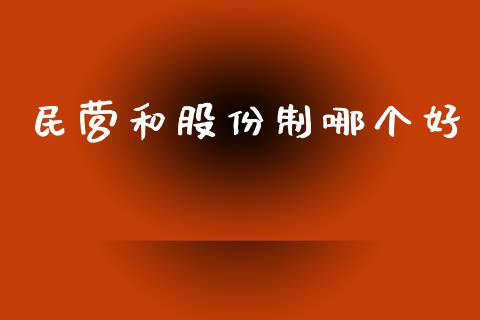 民营和股份制哪个好_https://cj006.lansai.wang_外汇交易_第1张