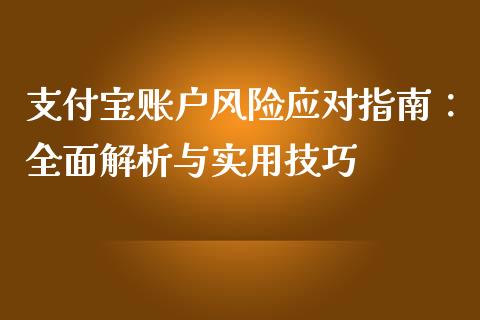 支付宝账户风险应对指南：全面解析与实用技巧_https://cj006.lansai.wang_债券资讯_第1张