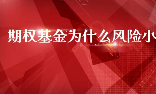 期权基金为什么风险小_https://cj006.lansai.wang_期货开户_第1张