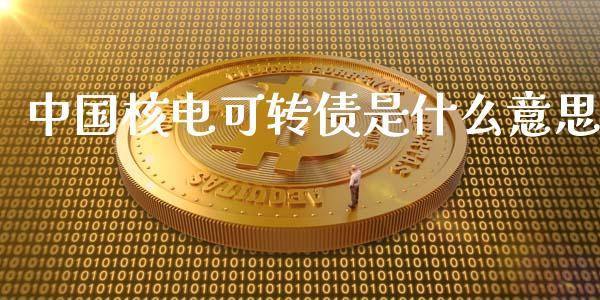 中国核电可转债是什么意思_https://cj006.lansai.wang_金融监管_第1张