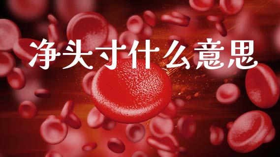 净头寸什么意思_https://cj006.lansai.wang_债券资讯_第1张