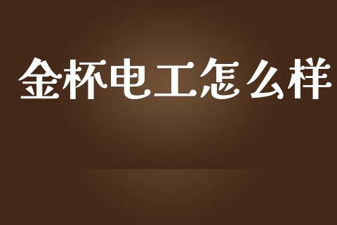 金杯电工怎么样_https://cj006.lansai.wang_债券资讯_第1张