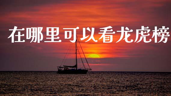 在哪里可以看龙虎榜_https://cj006.lansai.wang_债券资讯_第1张