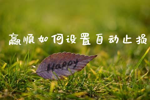 赢顺如何设置自动止损_https://cj006.lansai.wang_期货开户_第1张