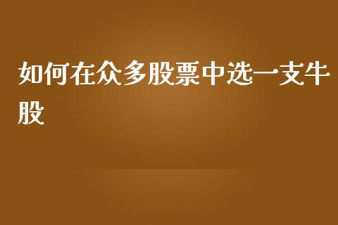 如何在众多股票中选一支牛股_https://cj006.lansai.wang_外汇交易_第1张