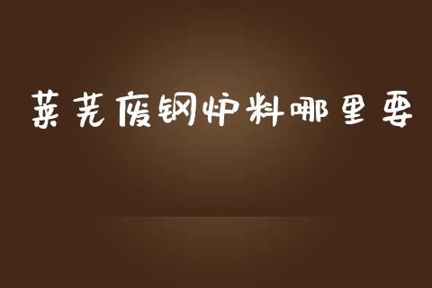 莱芜废钢炉料哪里要_https://cj006.lansai.wang_债券资讯_第1张