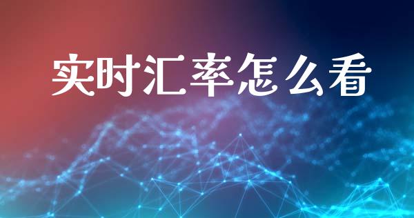 实时汇率怎么看_https://cj006.lansai.wang_期货开户_第1张